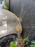 2005 Chrysler PT Cruiser