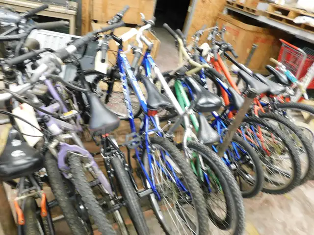 21 Miscellaneous Bicycles