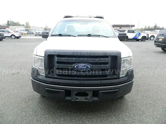 2009 Ford F-150