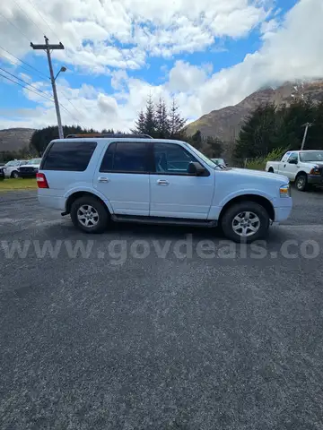 2009 Ford Expedition