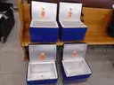 COOLER BAGS - VERICOR COOL CUBES