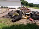 SCRAP (MISCELLANEOUS)