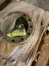 Case Bulldozer Sprockets &#x26; Bolts