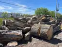 Lot of Wood Logs