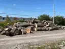 Lot of Wood Logs
