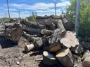 Wood Logs