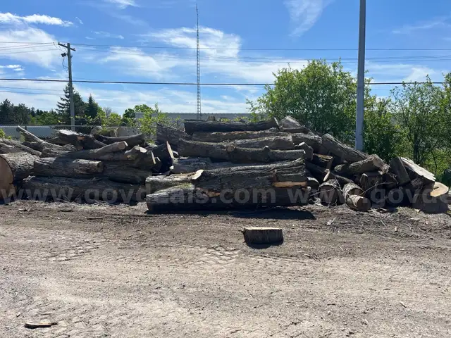 Wood Logs