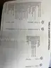 1993 Chevy Light Duty Truck &#x26; C/K Models Service Manual