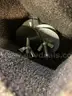 Case of Magnetic Survey Scanner Spheres&#xA0;(ID #40621) (J1-2L) (25-1413-4) 225