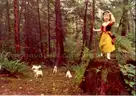 &#x22;Never Never Land&#x22; Fiberglass Crafting Molds | Collectible Art Materials (ID #41082) (Off-Site) (25-2972-1) 32717