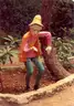&#x22;Never Never Land&#x22; Fiberglass Crafting Molds | Collectible Art Materials (ID #41082) (Off-Site) (25-2972-1) 32717