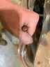 Pallet of Various Utility Spools&#xA0;(ID #41648) (J8-1L) (25-1862-9) 179