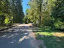 Large Lot of Douglas Fir Timber Logs | Buyer Removal Required | Certifications&#xA0;(ID #42154) (Off-Site) (25-3606-1) 23403