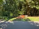 Large Lot of Douglas Fir Timber Logs | Buyer Removal Required | Certifications&#xA0;(ID #42154) (Off-Site) (25-3606-1) 23403