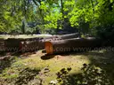 Large Lot of Douglas Fir Timber Logs | Buyer Removal Required | Certifications&#xA0;(ID #42154) (Off-Site) (25-3606-1) 23403