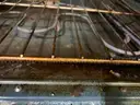 GE Oven &#x26; Range&#xA0;(ID #42754) (J11-2R) (25-3234-19) 315