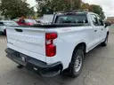 2020 Chevrolet Silverado 1500 4WD Crew Cab Work Truck (ID# 42950) (EF1) (25-3358) 32302