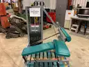 Cybex Leg Machine (ID #43727) (I2-6L) (25-4118-3) 35415