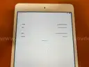 iPad mini 4th Gen - white- 32GB (ID# 44548) (D-Case) (NoUPC)