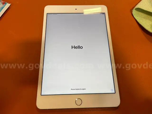 iPad mini 4th Gen - white- 32GB (ID# 44548) (D-Case) (NoUPC)