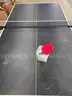 Ping Pong Table plus Paddles and Balls