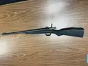 Lot of Seized Guns  (7) Total Guns