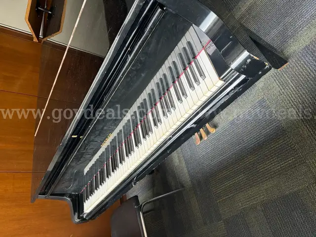Grand Piano