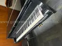 Grand Piano