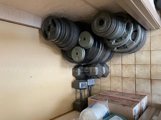 Assorted Weights (Plates) and Dumbbells