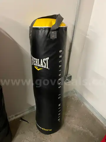 Everlast Power Core Heavy Bag (approx. 80lbs)