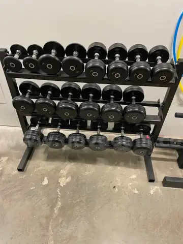 Set of Dumbbells & Rack (5, 10, 12, 15, 20, 25, 30, 35, 40, 45)
