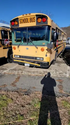 2007 BLUE BIRD TRANSIT REAR ENGINE BUS