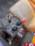 1994 GMC 6yd Dump Truck