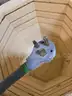 Cress Mfg. Electric Kiln