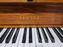 Yamaha P22 Upright Piano