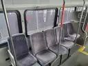 2017 ELDORADO NATIONAL SHUTTLE BUS