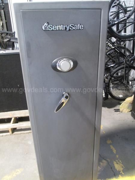 Sentry QE4531 Sentry Fire and Water Resistant Digital Data Storage with USB  Port - Amazon.com
