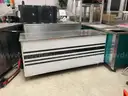 Stainless Steel Serving Counter with Decorative Front Panel