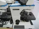 02-62  Microscopes (19)