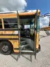 2009 Blue Bird School/Transit Bus