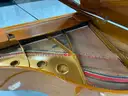 Samick Baby Grand Piano SG-155