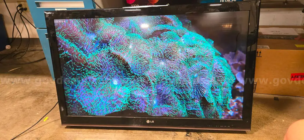 LG 42&#x22; 1080p LCD TV (42LK451C)