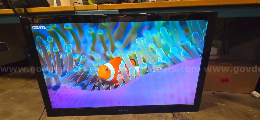 Insignia NS-55L260A13 TV
