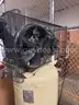 Ingersoll Rand Air Compressor