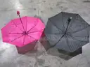 Lot of 2ea  collapsing umbrellas