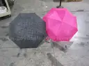 Lot of 2ea  collapsing umbrellas