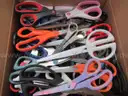 LOT OF SCISSORS