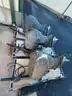 Lot of 3 40 HP Evinrude Outboard Motors