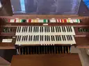 Organ