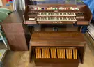 Organ